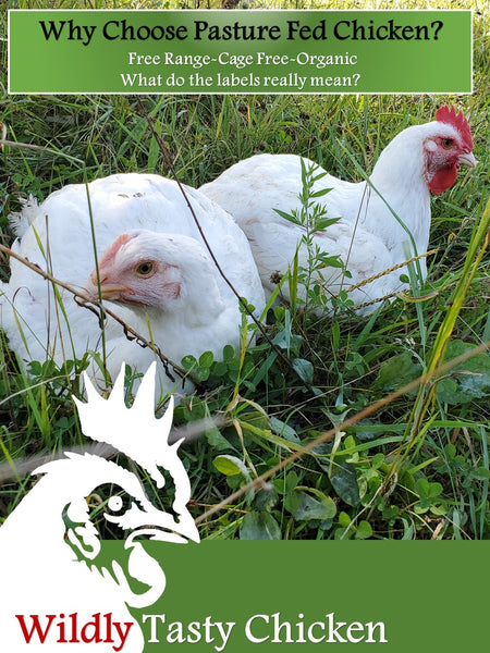 Why Choose Pasture Fed Chicken? Free Range-Cage Free-Organic what do the labels really mean.